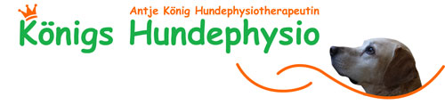 Hundephysiotherapeutin mit Unterwasserlaufband in Hildesheim